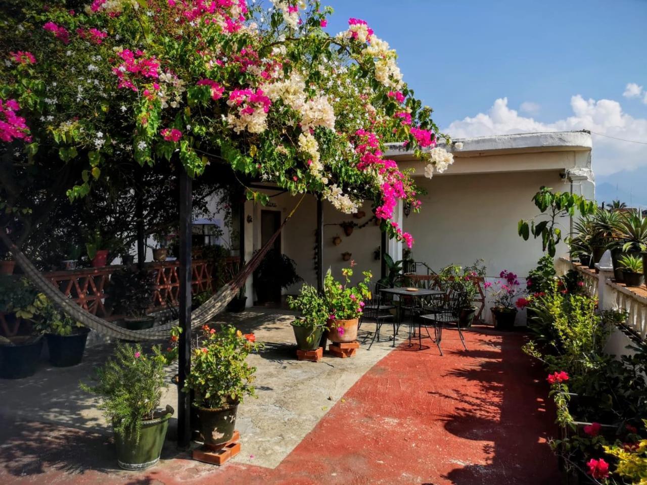 El Diablo Y La Sandia B&B Oaxaca Exterior foto